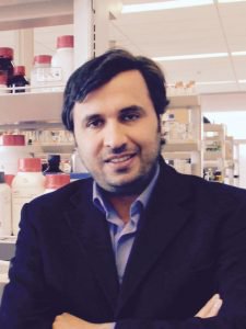 賓州州立大學(xué)研究人員3D打印多孔組織鏈讓軟骨再生 賓州州立大學(xué)研究人員3D打印多孔組織鏈讓軟骨再生